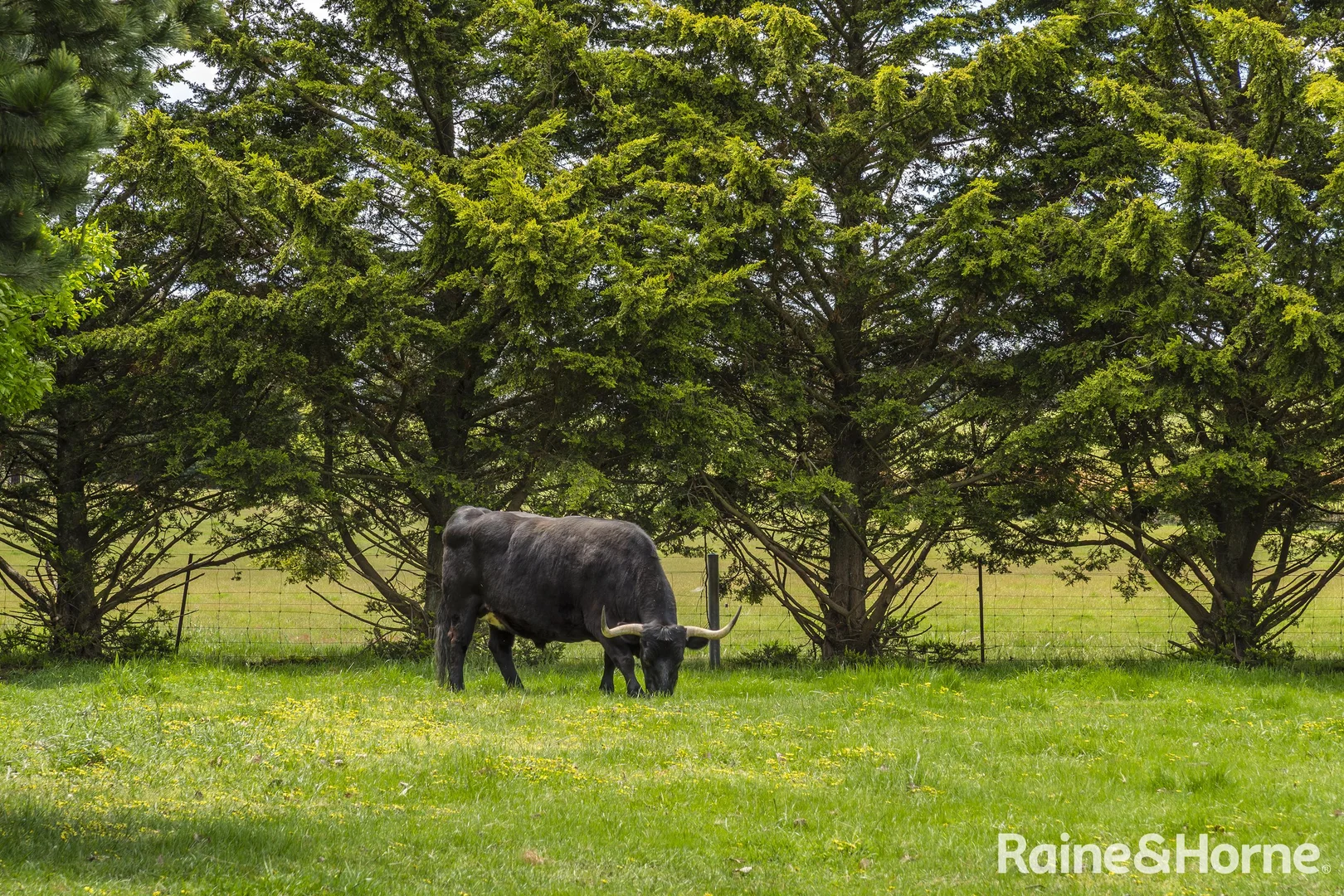 Additional image 37 of 545 Kyneton Springhill Road, Kyneton South VIC 3444