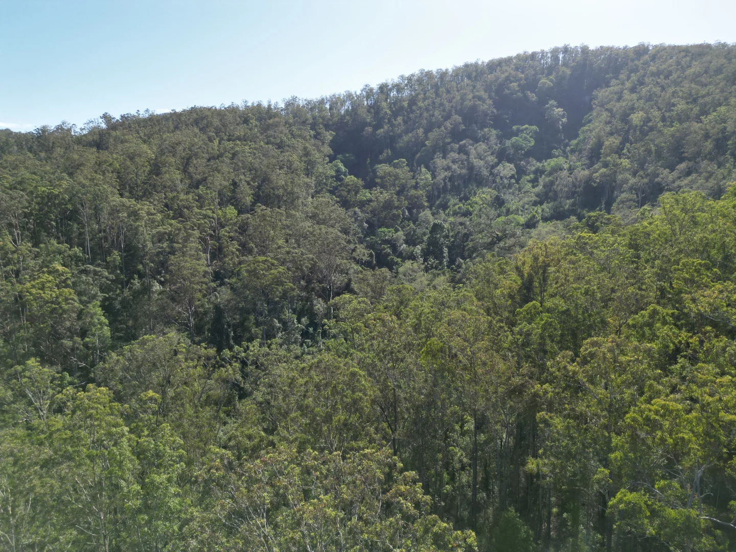 Additional image 9 of 211, 212 Robinson Road, Marlee NSW 2429