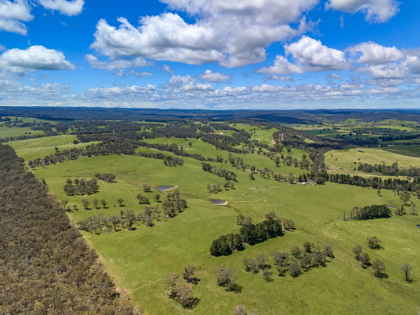 Additional image 23 of 1777 Canyonleigh Road, Canyonleigh NSW 2577