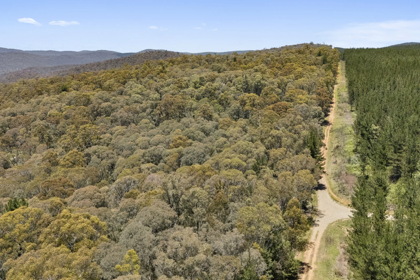 Additional image 23 of 321 Log Bridge Creek Road, Wee Jasper NSW 2582