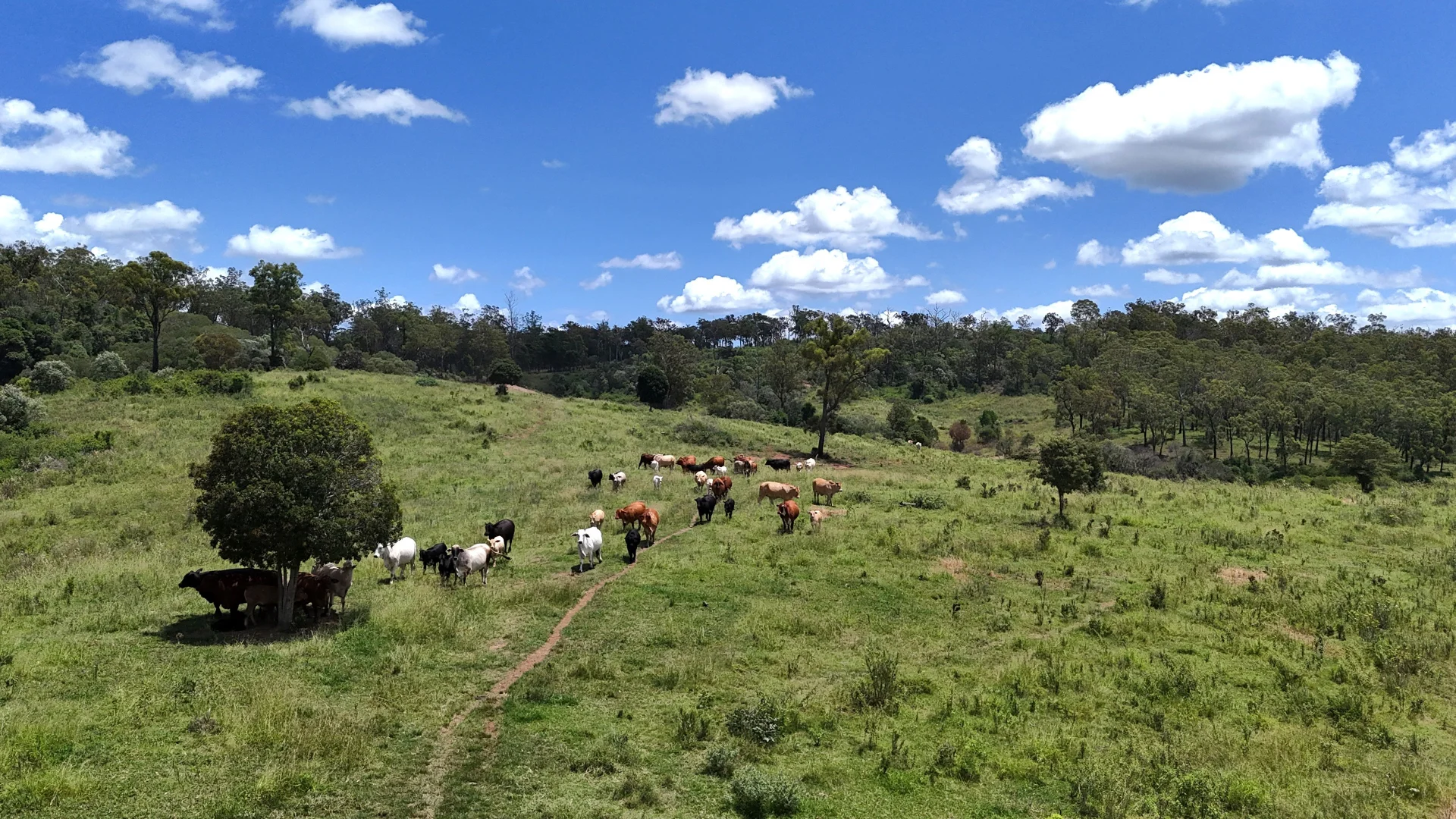 Additional image 2 of 'Sunrise' Mclaughlans Road, Monto QLD 4630
