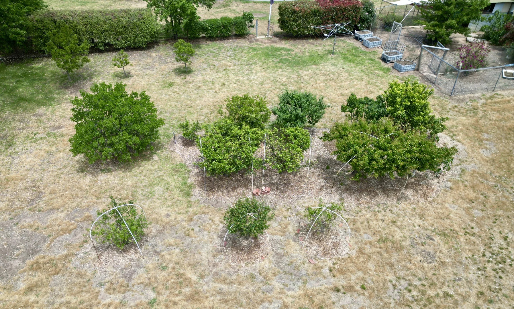 Additional image 29 of 12 Singe Rd, Jindera NSW 2642