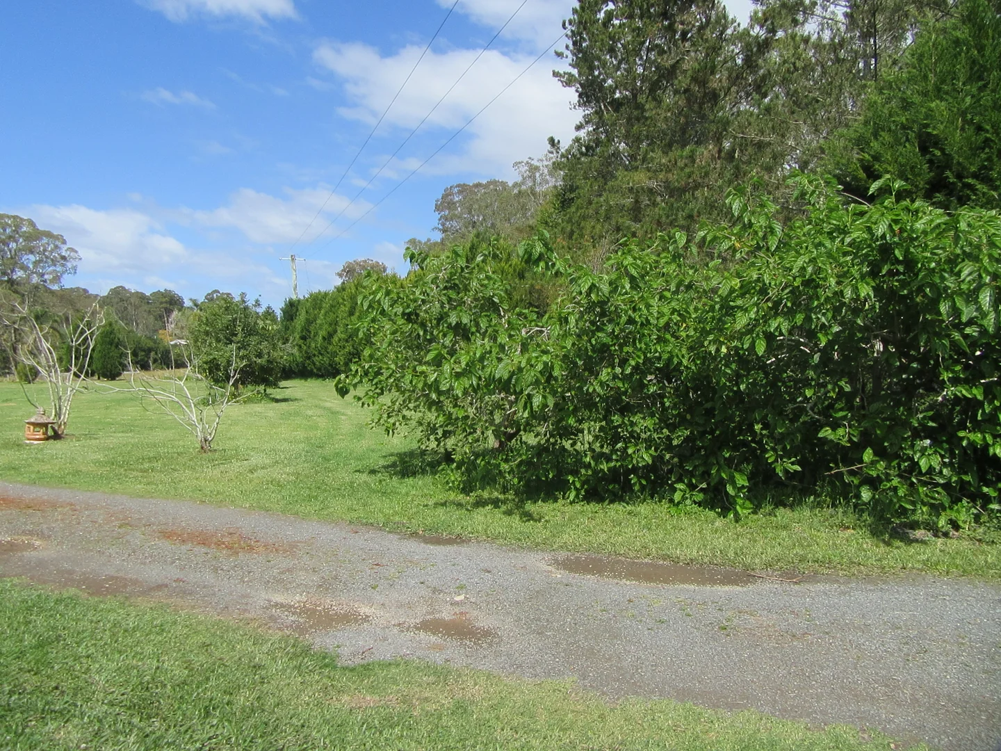Additional image 51 of 10 Markwell Back Road, Bulahdelah NSW 2423