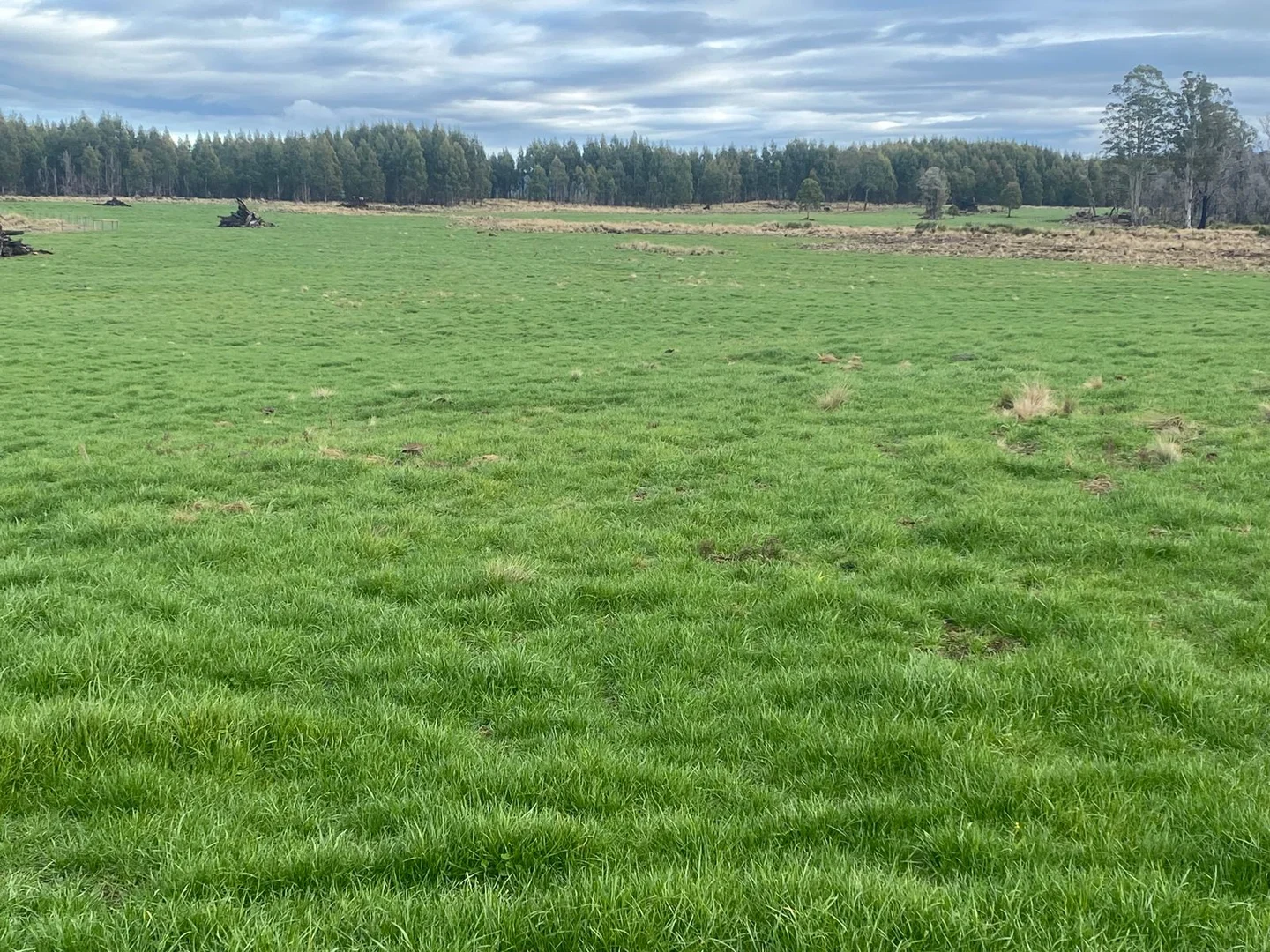 Additional image 20 of 560 Gads Hill Road, Mersey Forest TAS 7304