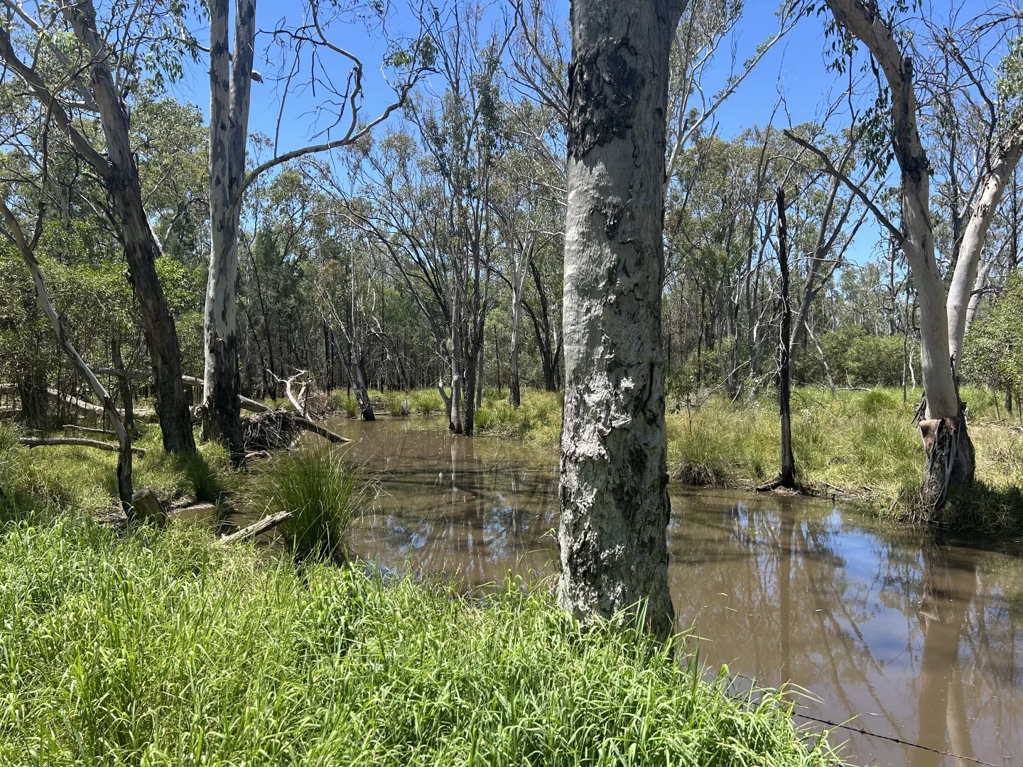 Additional image 19 of Lot 4 Chinchilla-Tara Rd, Wieambilla QLD 4413