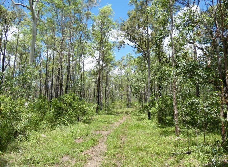 Additional image 31 of 277 Bushlands Road, Bororen QLD 4678