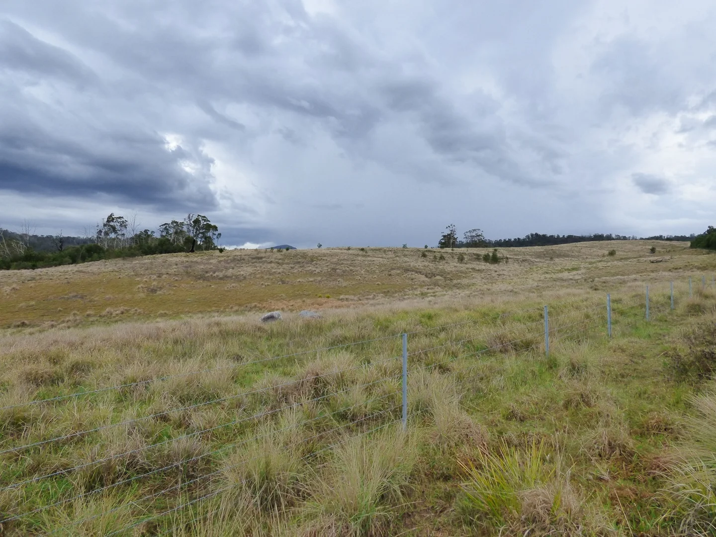 Additional image 16 of 2742 Mount Darragh Rd, Wyndham NSW 2550