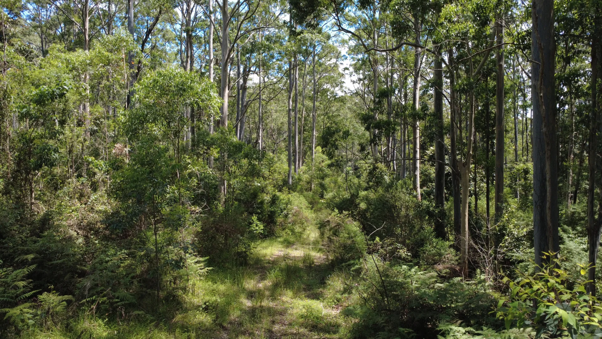 Additional image 9 of Baxters Ridge Road, Gloucester NSW 2422