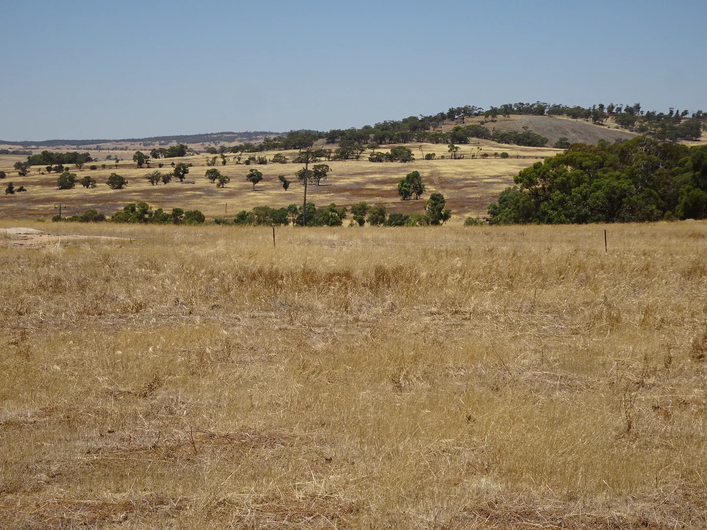 Additional image 5 of 160 Chittleborough Road, Brookton WA 6306