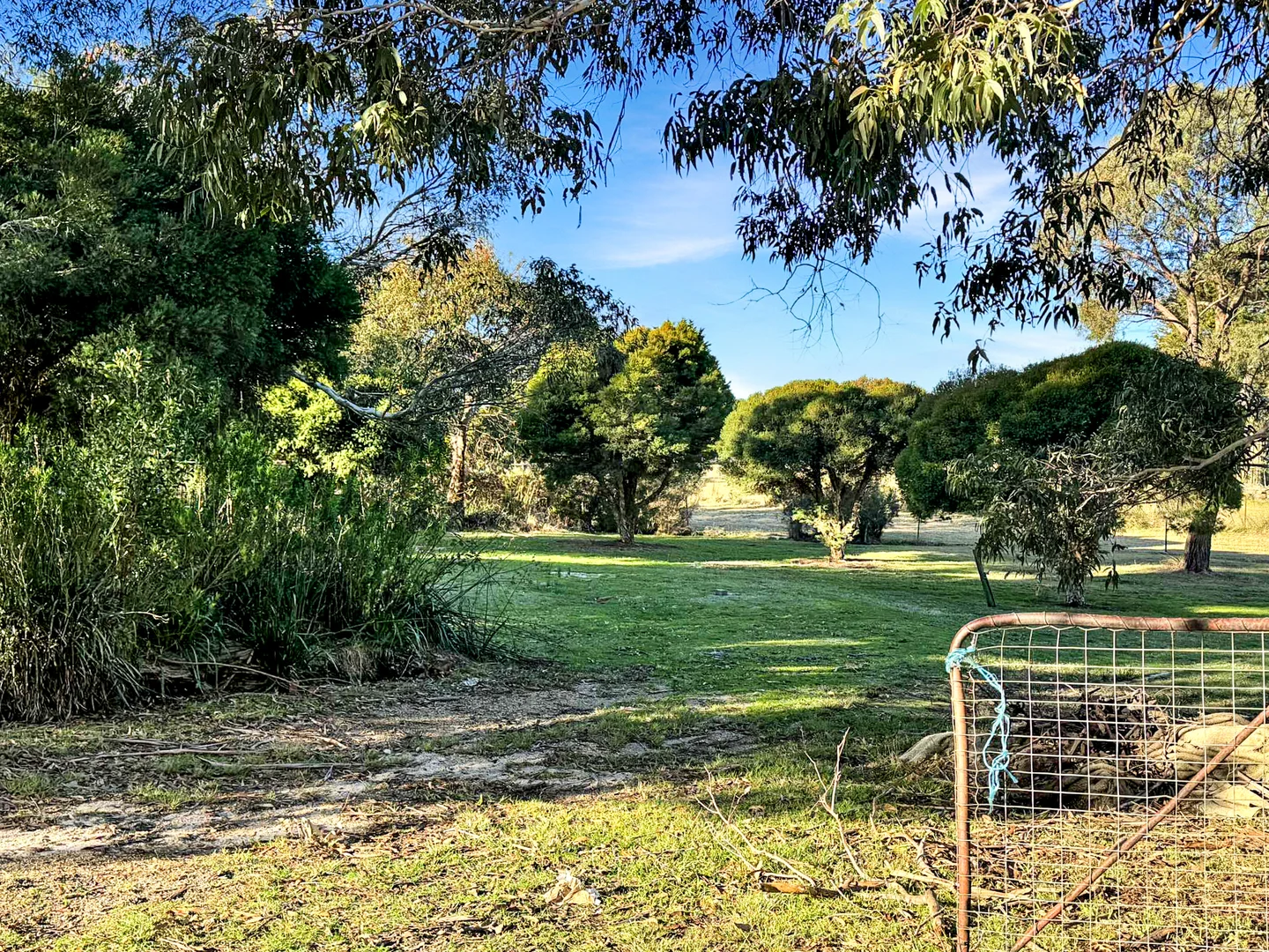 Additional image 29 of 5 Long Hill Place, St Helens TAS 7216