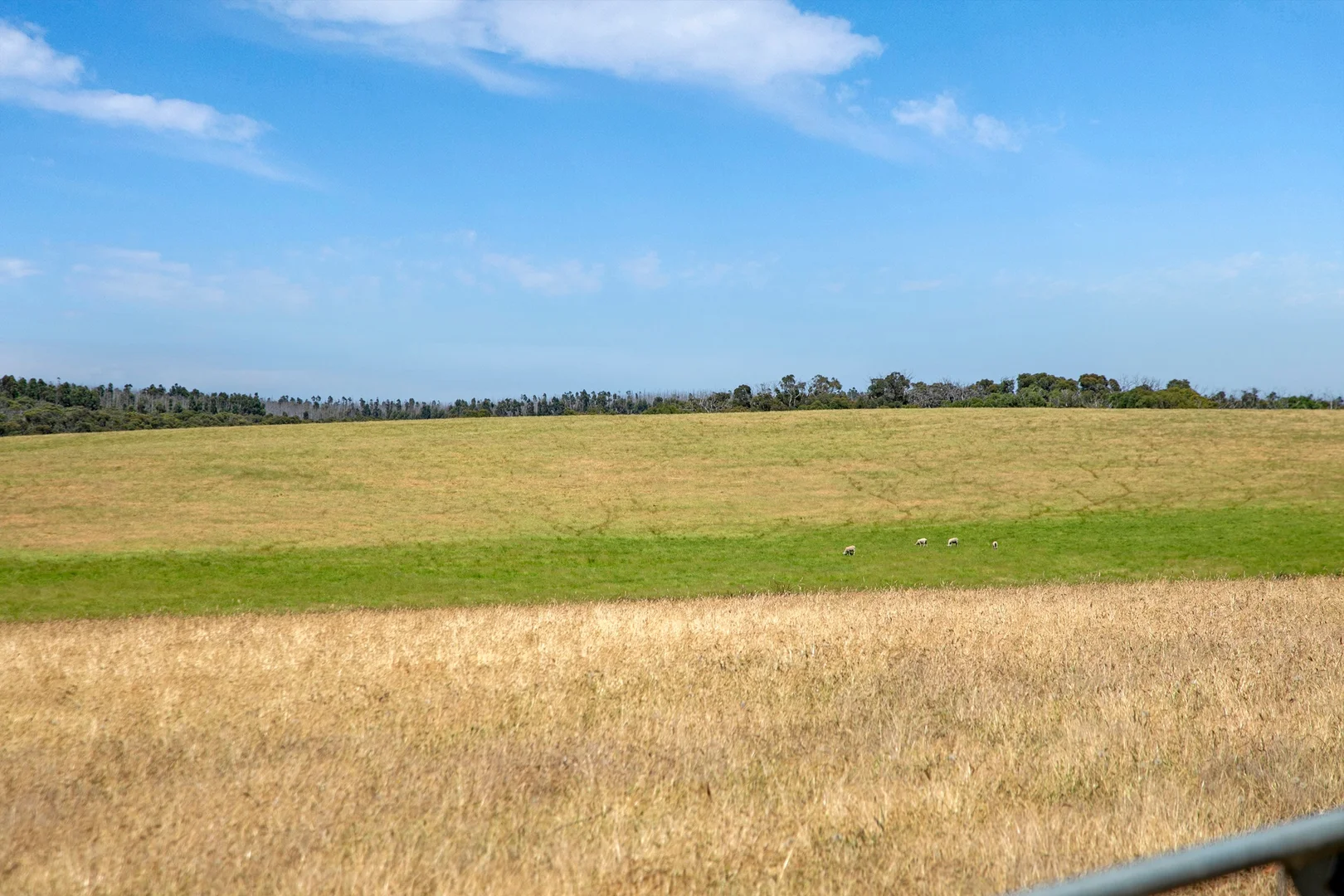 Additional image 46 of 157 Berrymans Road, Gosse SA 5223