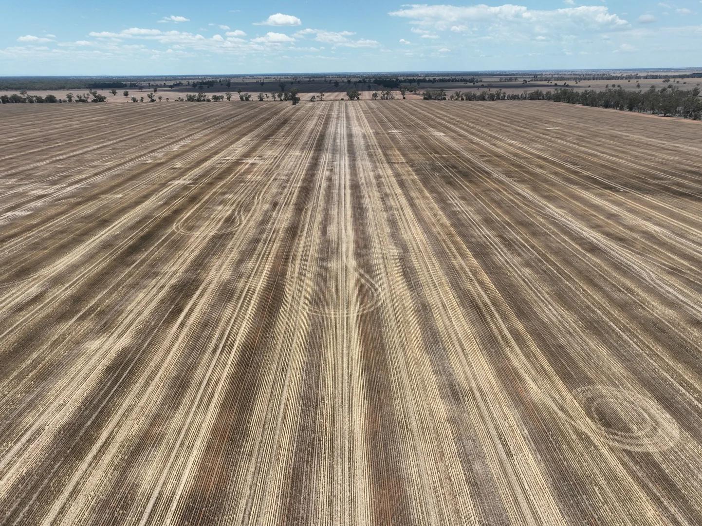 Additional image 4 of 'The Pines' 211 Dicks Camp Road, Collie NSW 2827