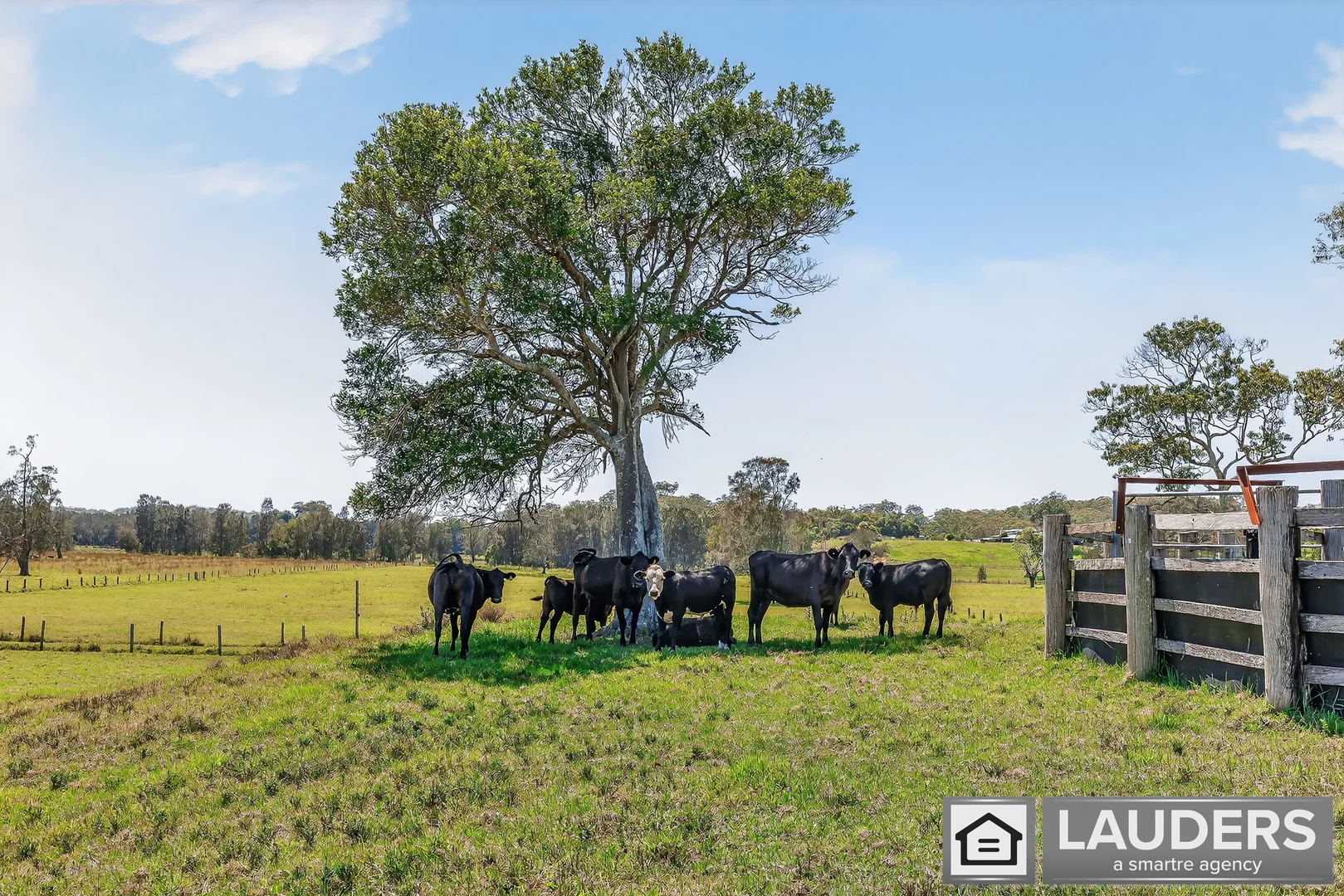 Additional image 37 of 157 Oxley Island Road, Oxley Island NSW 2430