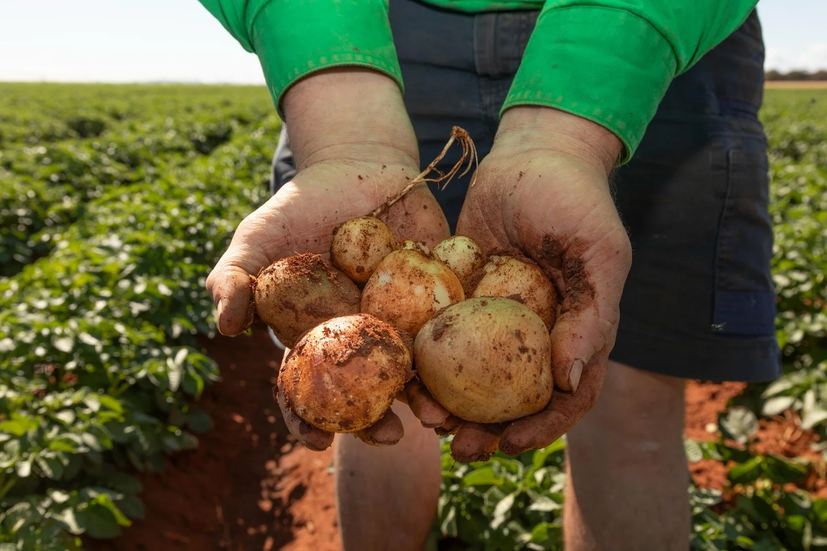 12766 Kidman Way, Hillston NSW 2675