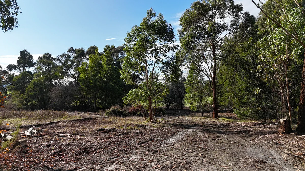 Additional image 7 of 2390 Colac -Lavers Hill Road, Gellibrand VIC 3239