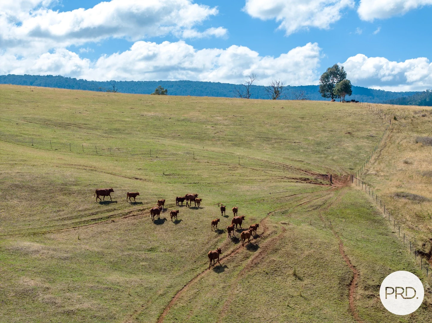 Additional image 16 of 1100 Batlow Road, Tumbarumba NSW 2653