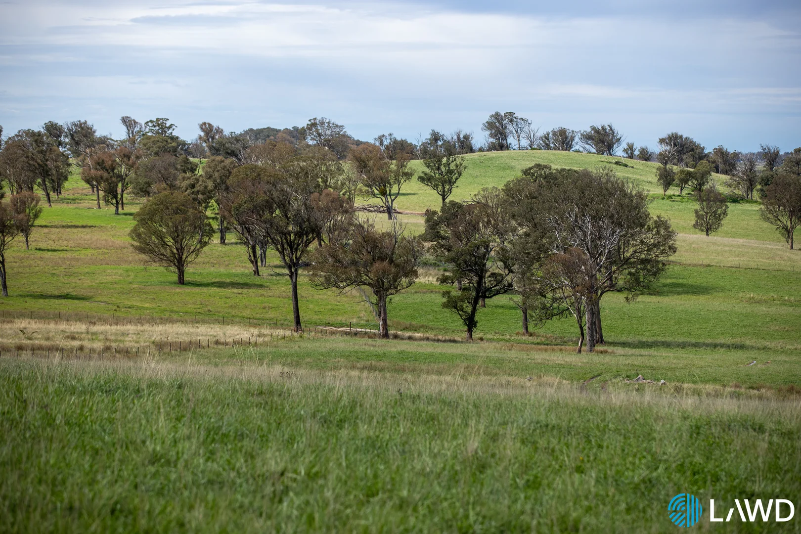 Additional image 20 of Alora-Mia Kellys Road, Armidale NSW 2350