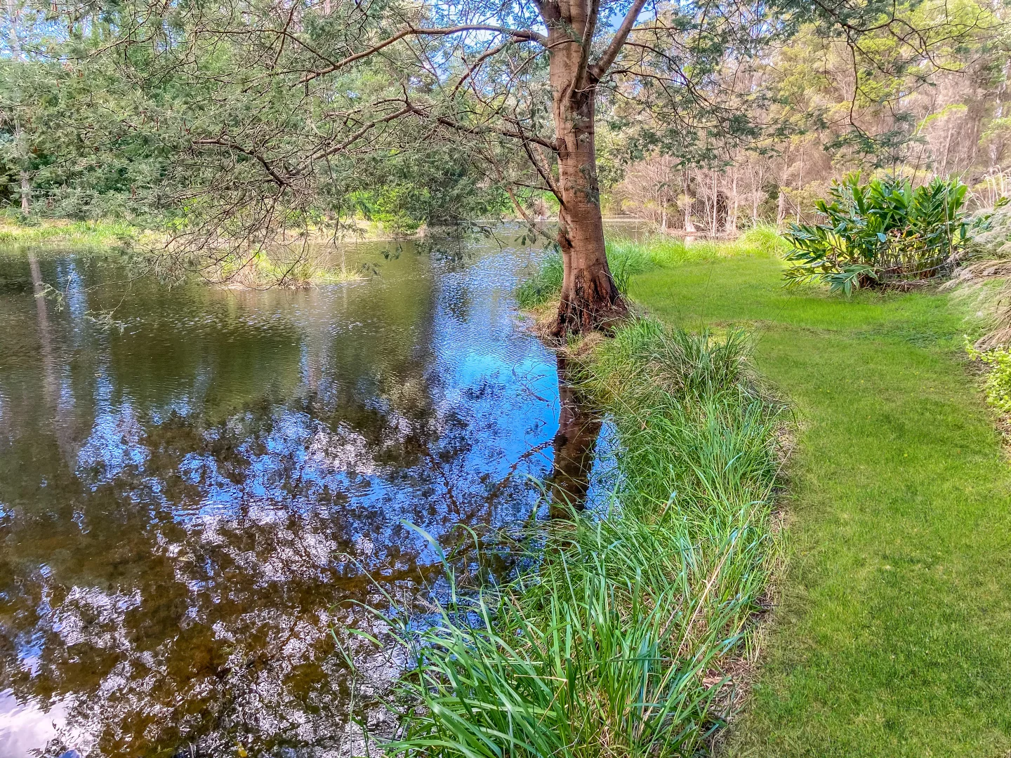 Additional image 5 of Lot 1 Binalong Bay Road, St Helens TAS 7216