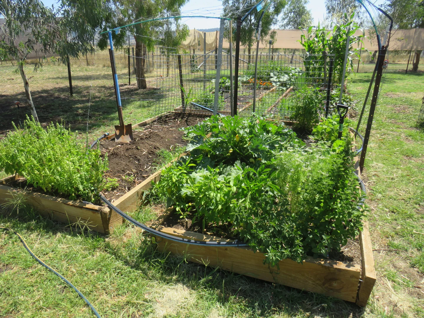 Additional image 16 of "Prairie" 1758 Werris Creek Road, Werris Creek NSW 2341