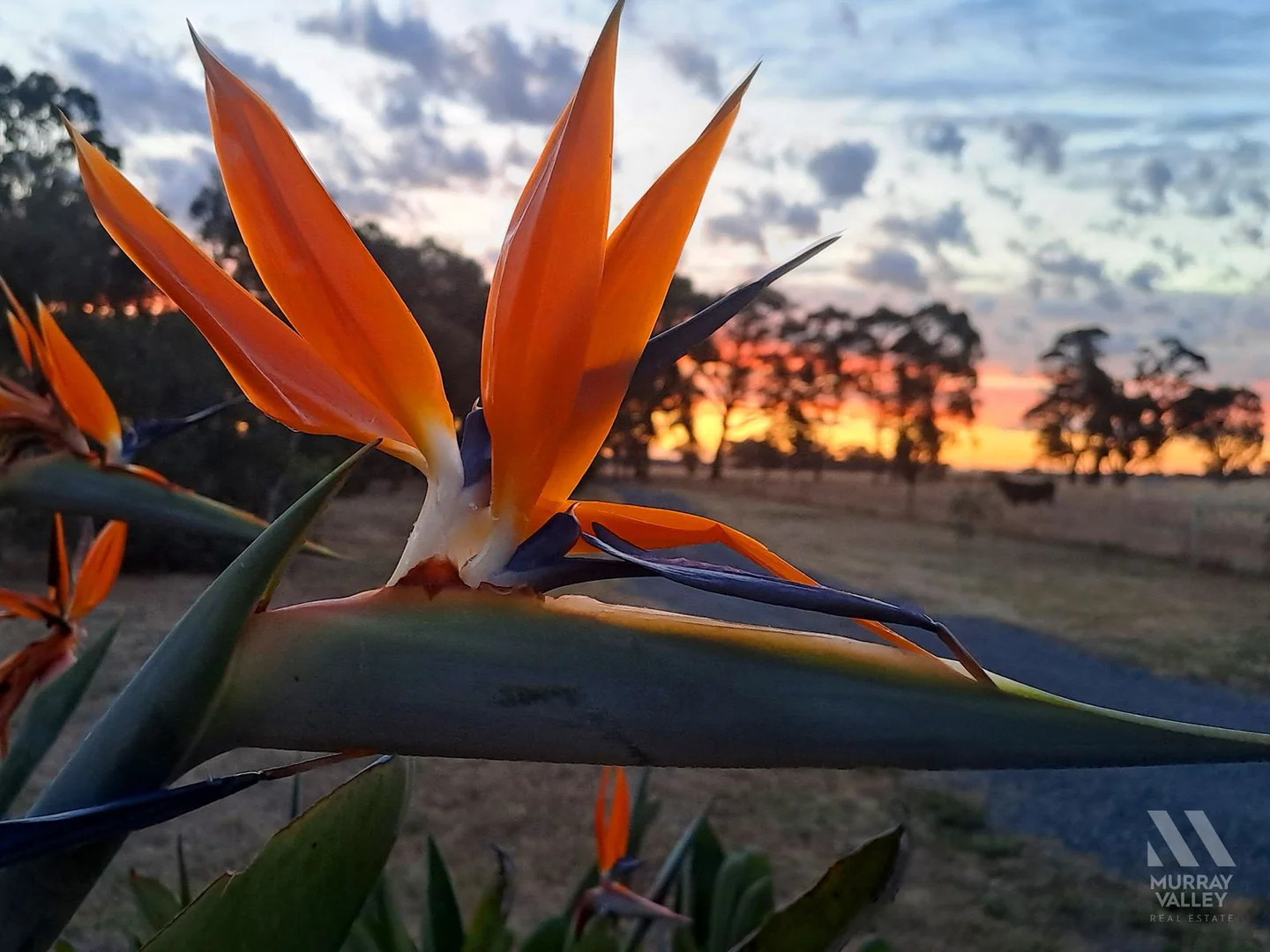 Additional image 38 of 3442 Wangaratta-Yarrawonga Road, Bundalong South VIC 3730