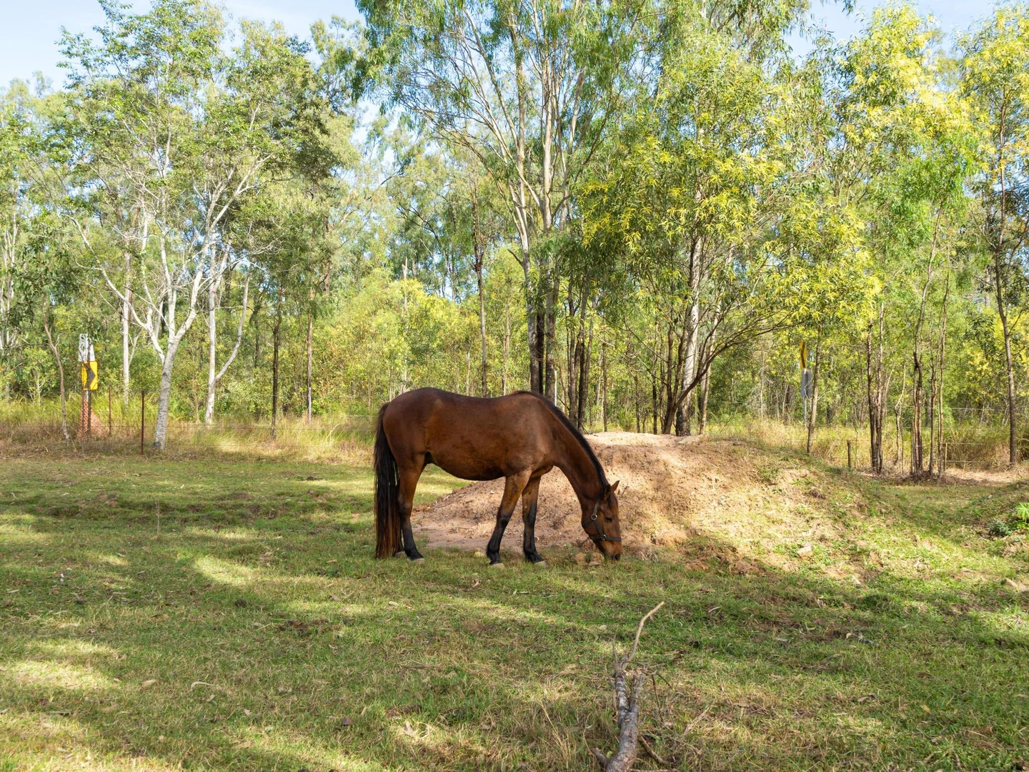 Additional image 11 of 142 Rosewood Rd, Amberley QLD 4306
