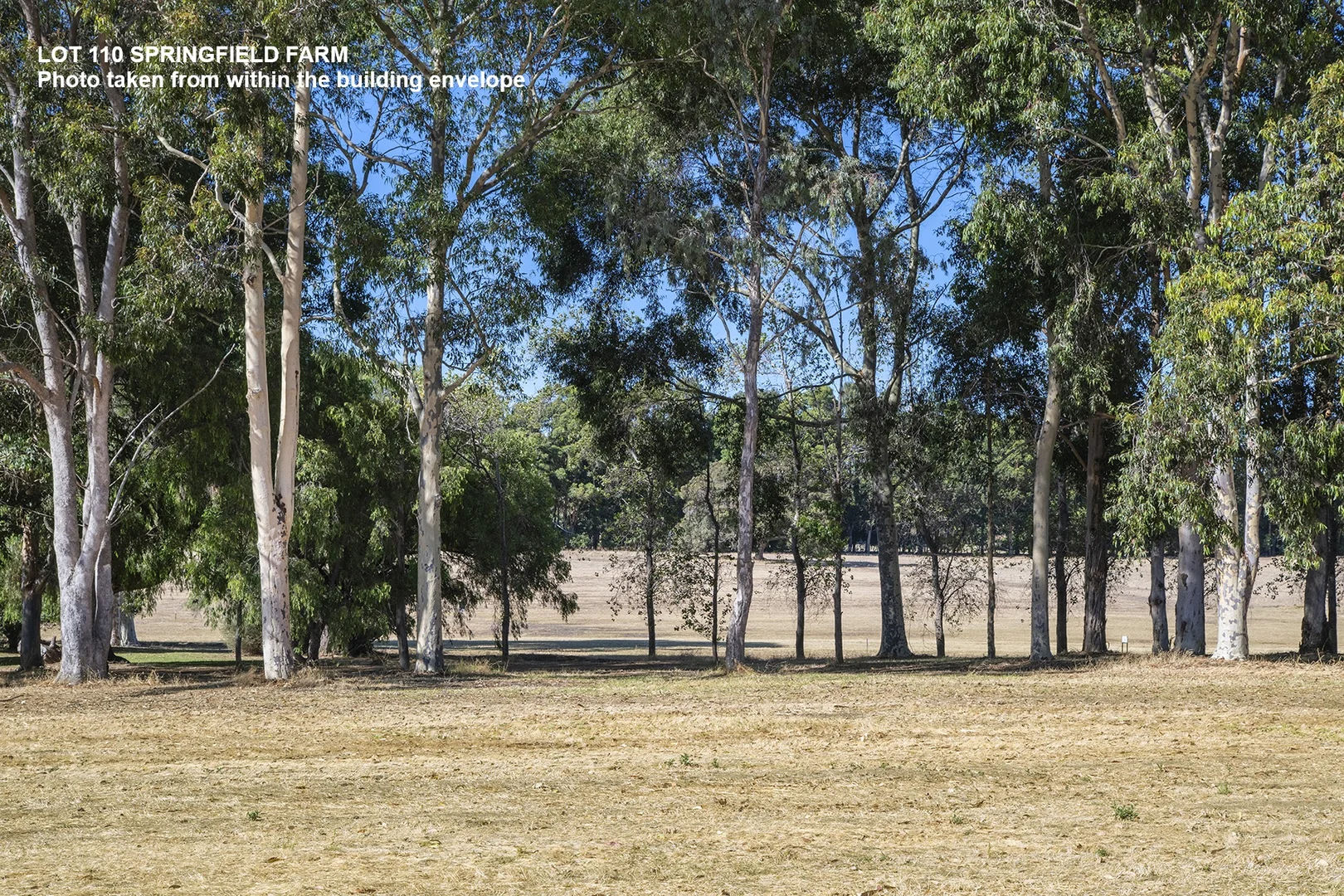 Additional image 5 of Lot 110 Springfield Farm, Yallingup WA 6282