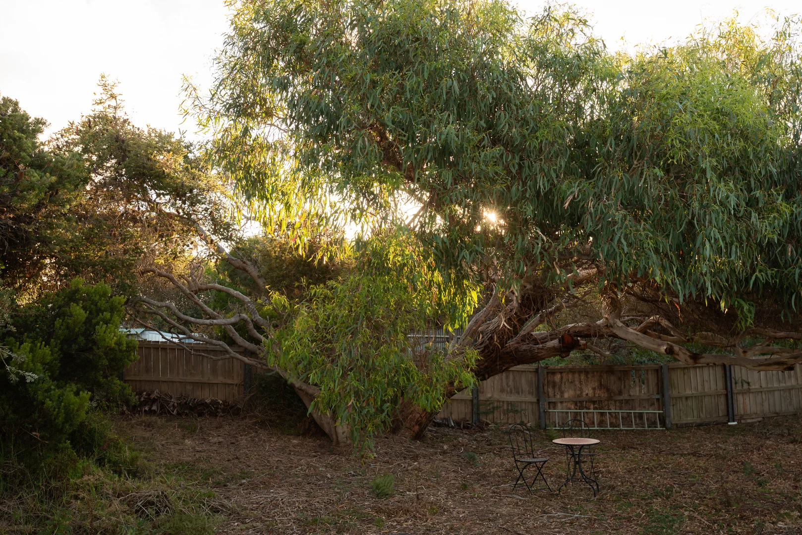 Additional image 20 of 131 Bellbuoy Beach Road, Low Head TAS 7253