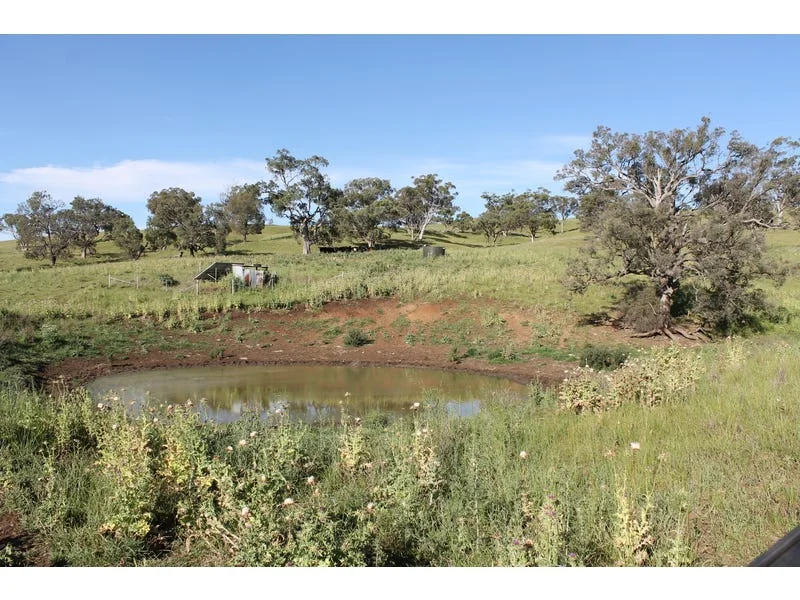 Additional image 5 of Golden Highway, Cassilis NSW 2329