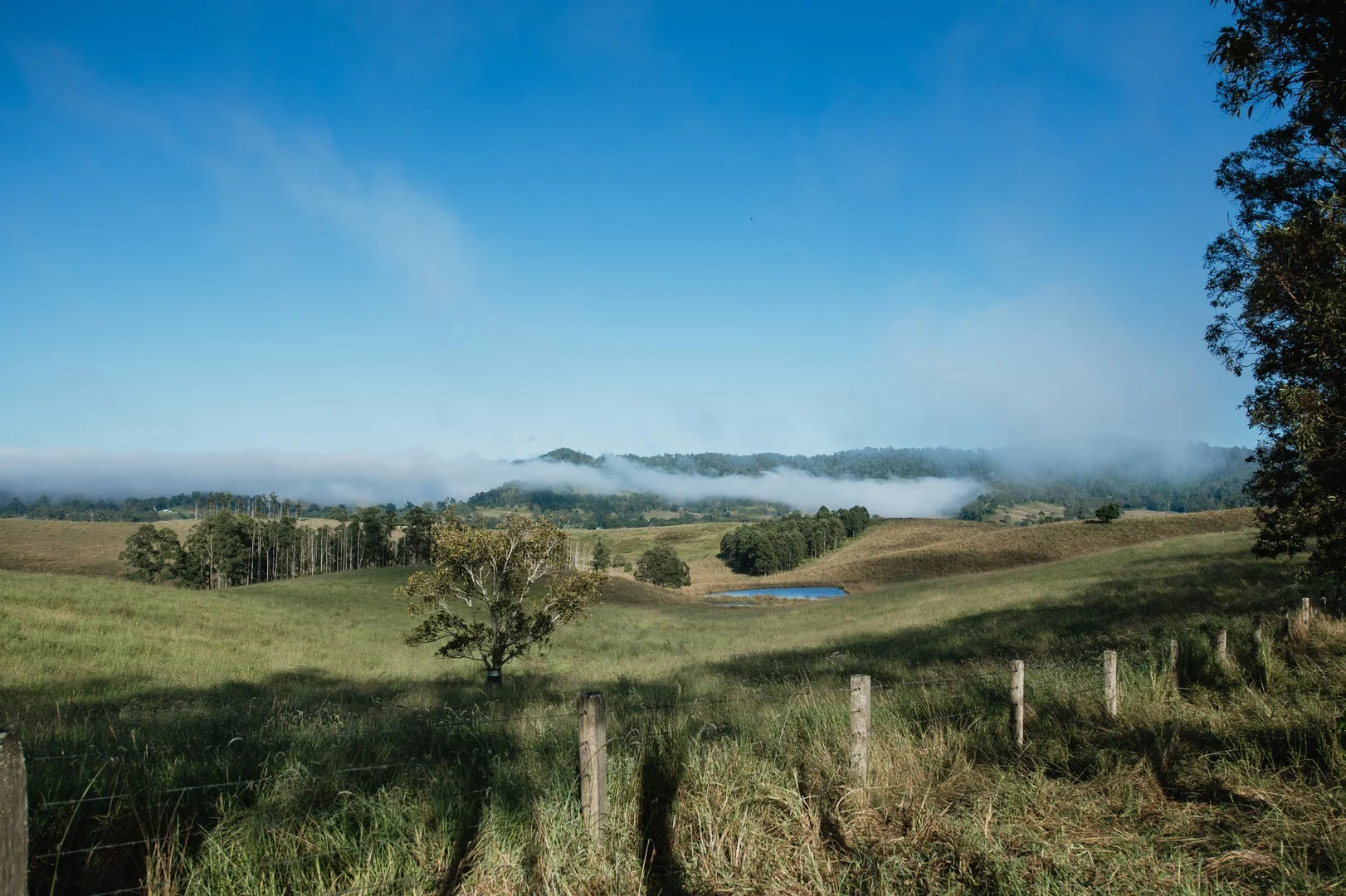 Lynches Creek Road, Wiangaree NSW 2474