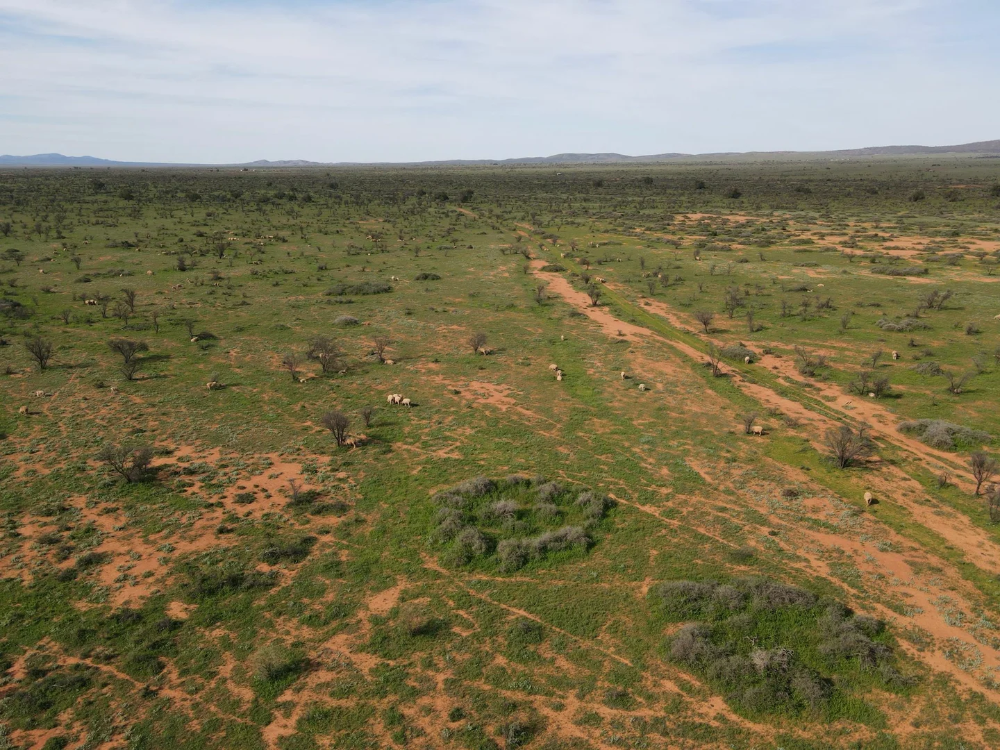 Additional image 4 of 'Acacia Ridge' 511 Tapscott Rd, Orroroo SA 5431