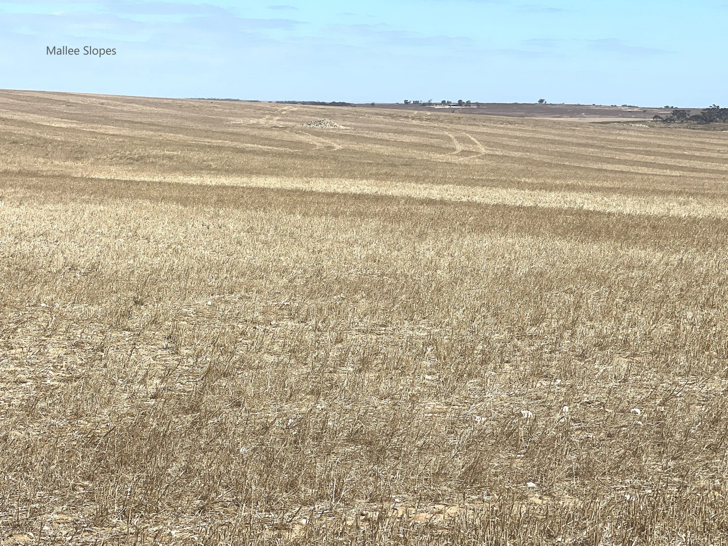 Additional image 26 of 256 Blacket Road, Wynarka SA 5306