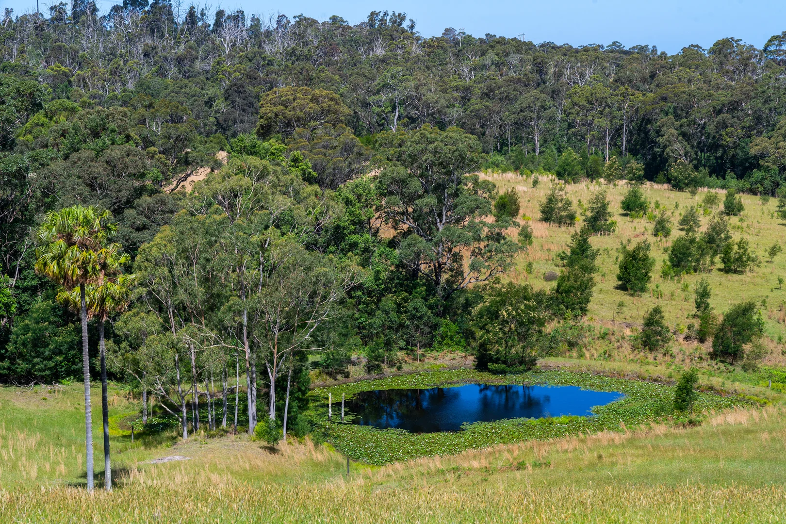 Additional image 11 of 106C Porters Creek Road, Yatte Yattah NSW 2539