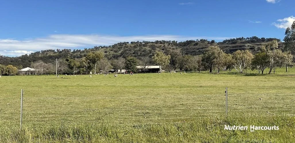 Additional image 5 of 967 Northam-Toodyay Road, Katrine WA 6401