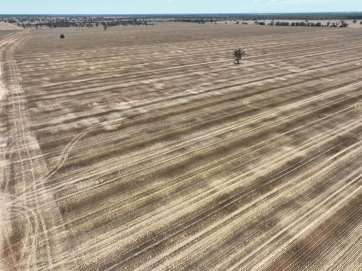 Additional image 3 of 'The Pines' 211 Dicks Camp Road, Collie NSW 2827