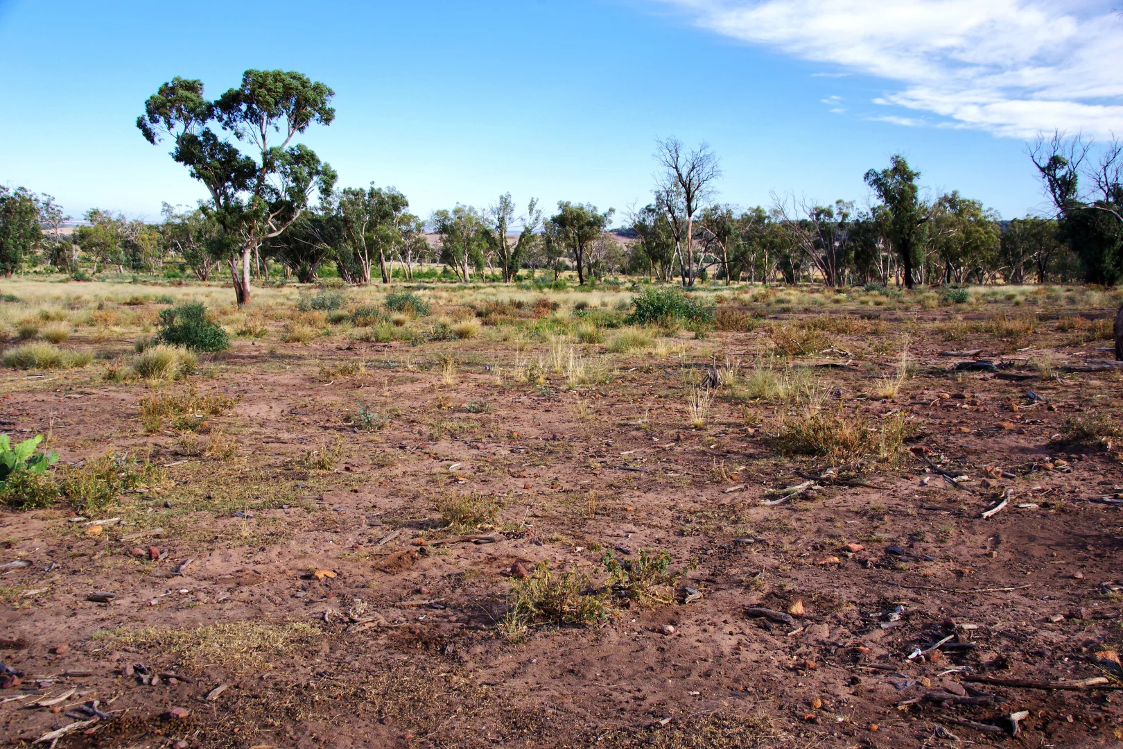 Additional image 20 of 2381. Killarney Gap Road, Narrabri NSW 2390