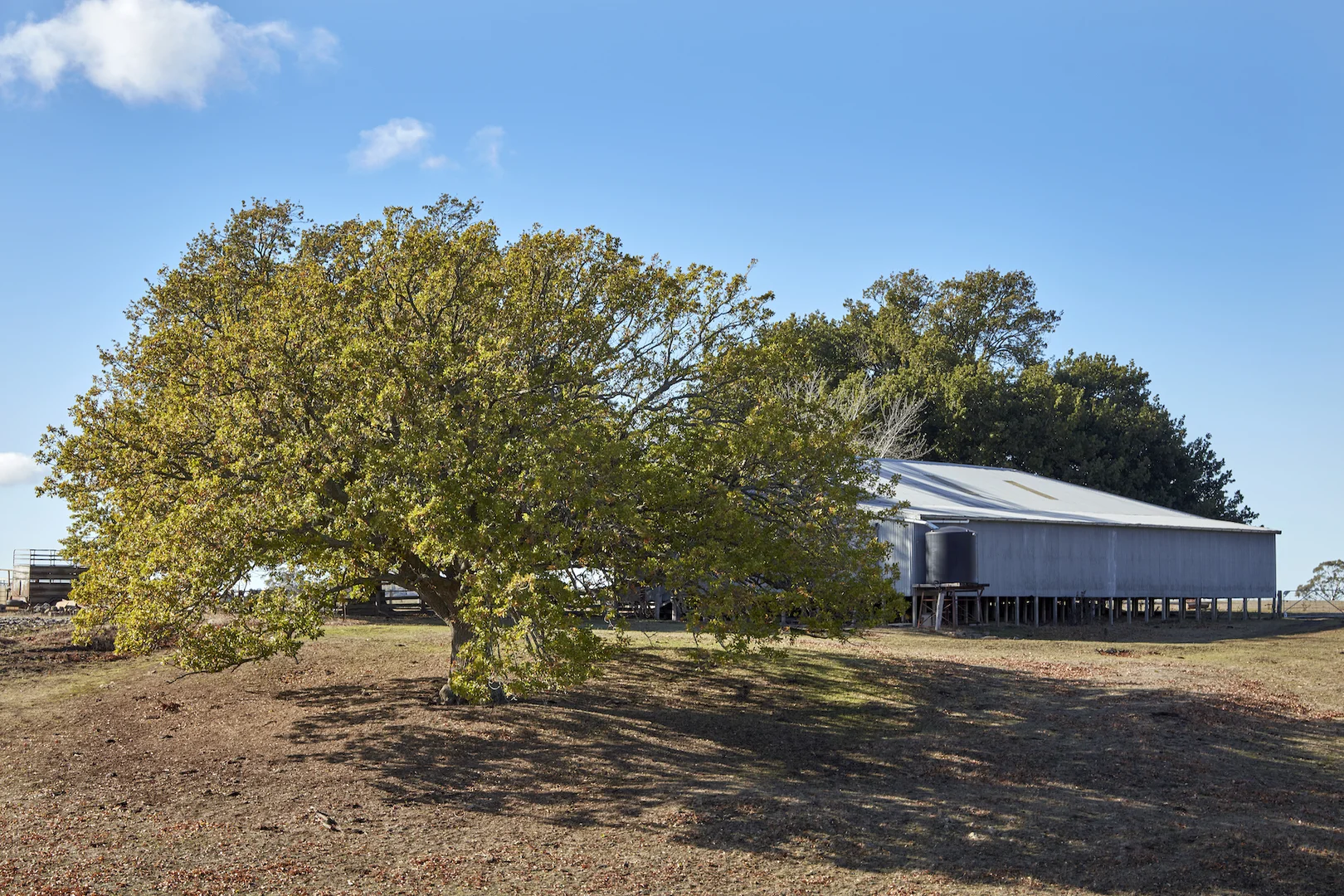 Additional image 6 of 171 Ross Watt Road, Gisborne VIC 3437