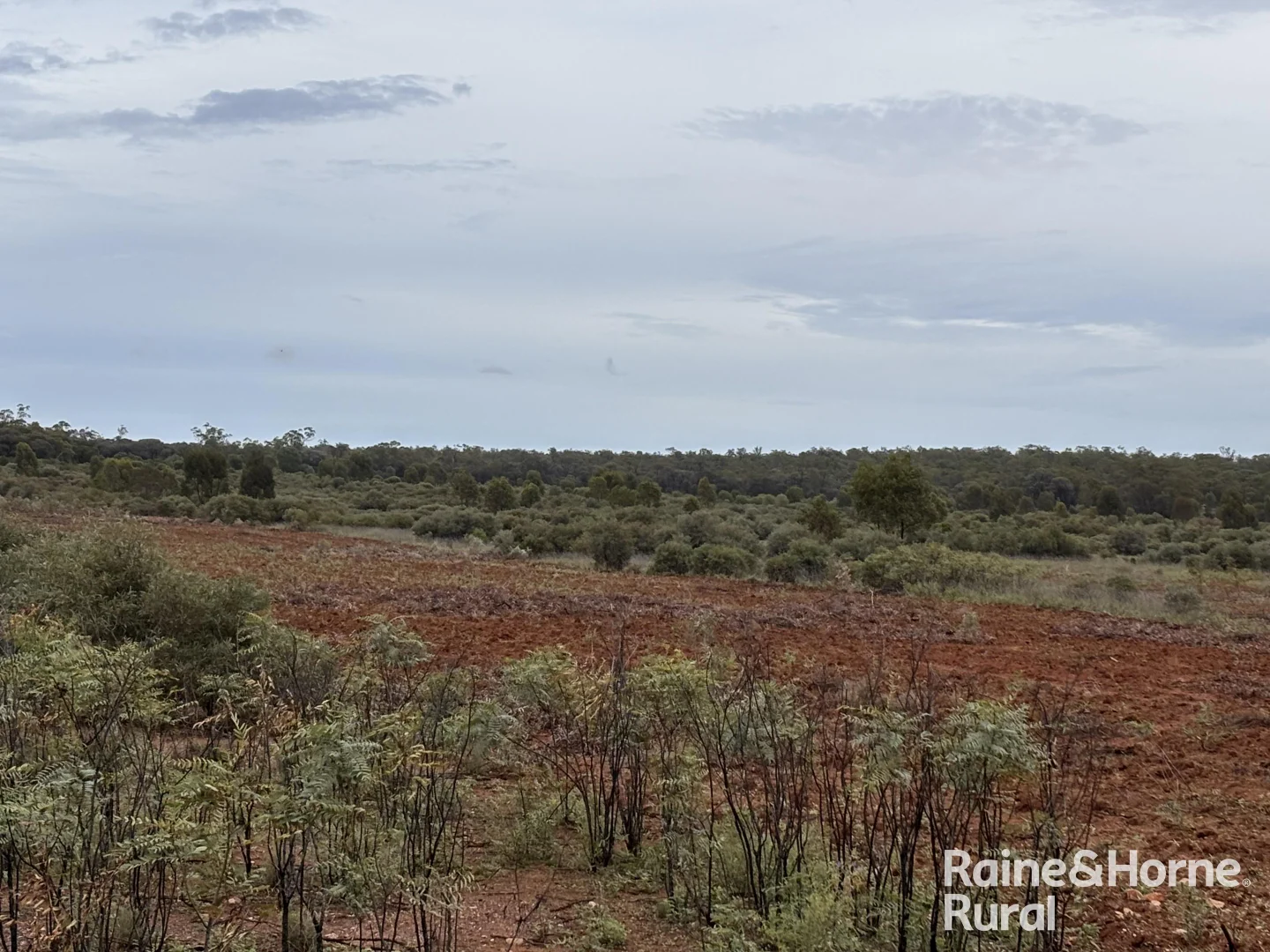 Additional image 10 of 1148 Nalpa Downs Road, Mitchell QLD 4465