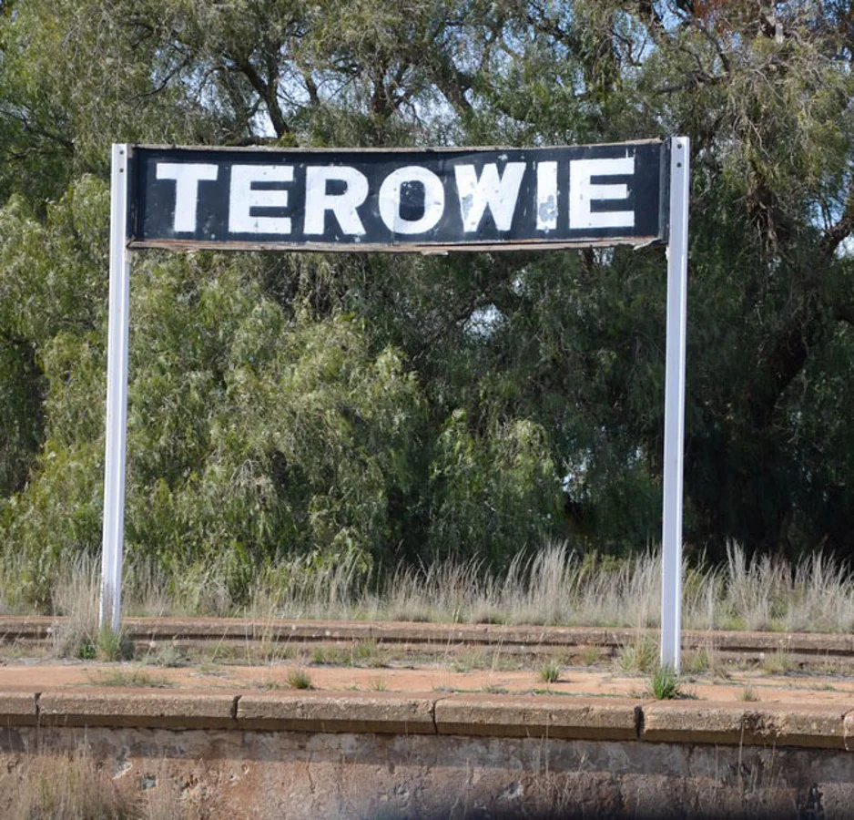 134 Mitchel Street, Terowie SA 5421