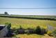 Goodricks, Norfolk PE31