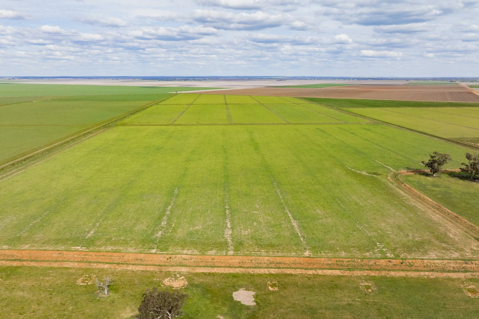 Additional image 3 of 10755 Sturt Highway, Narrandera NSW 2700