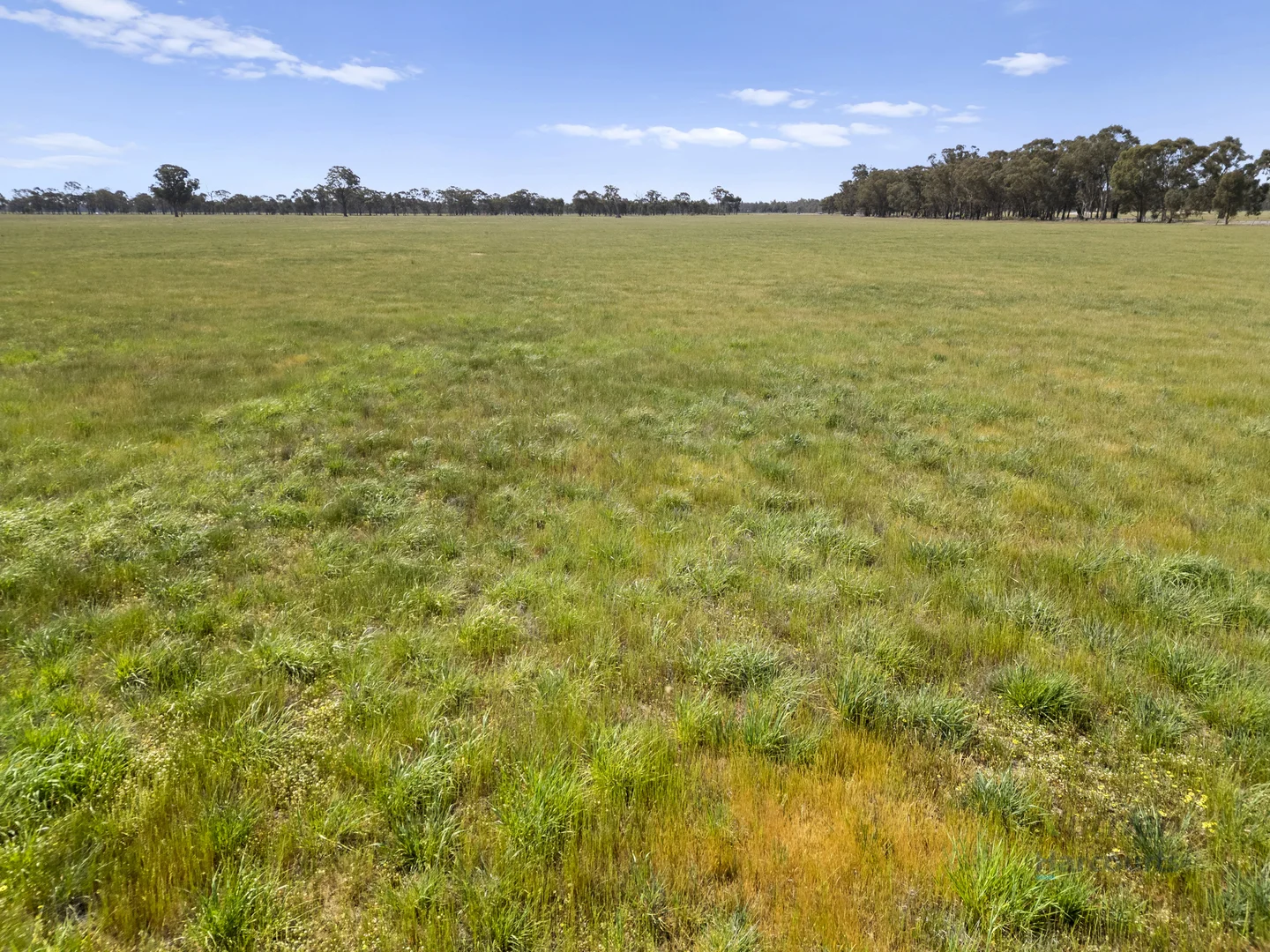 Additional image 9 of 1633 Euroa-Shepparton Road, Miepoll VIC 3666