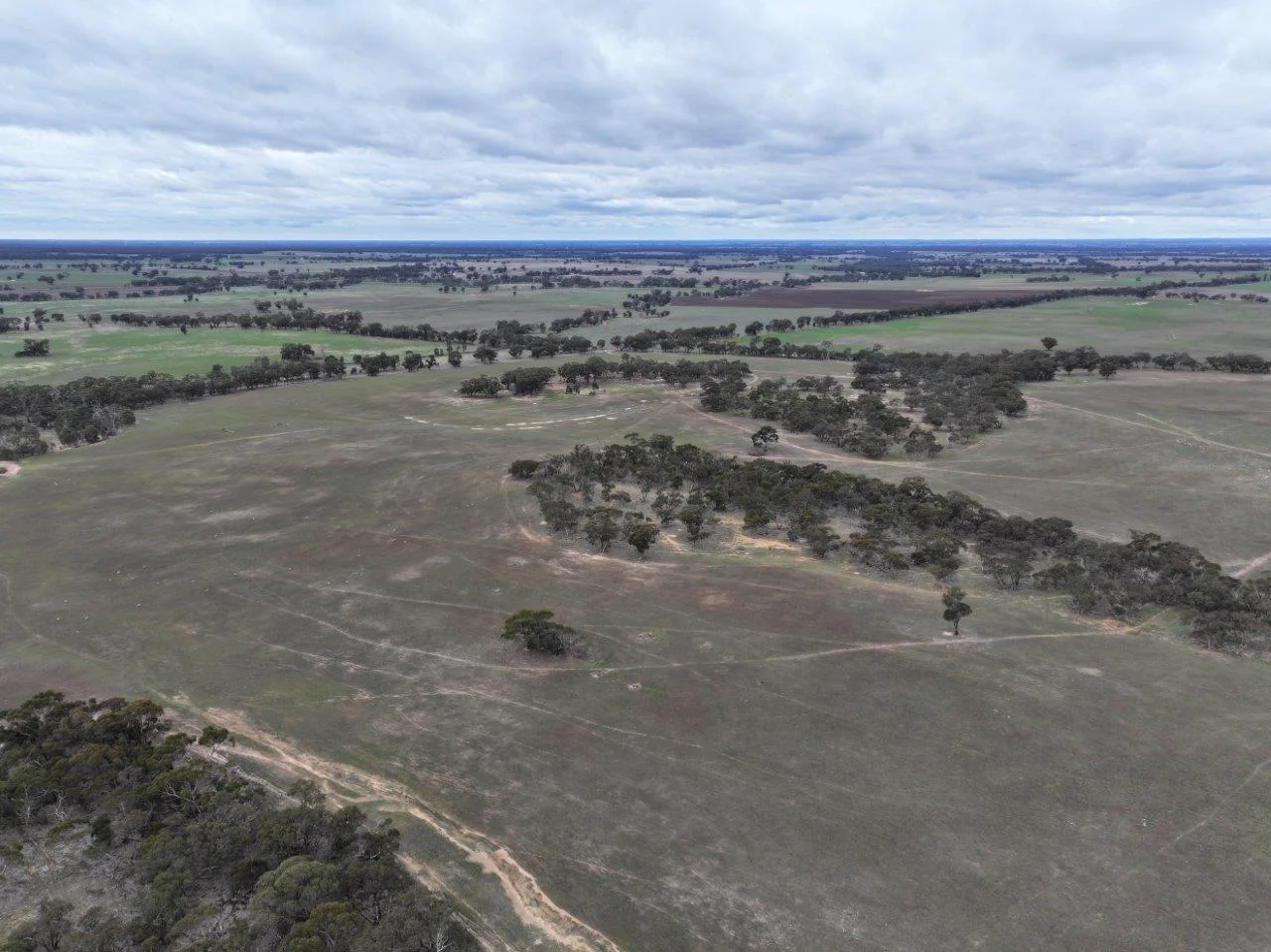 Additional image 10 of Lot 1 Rheola - Llanelly Road, Murphys Creek VIC 3551
