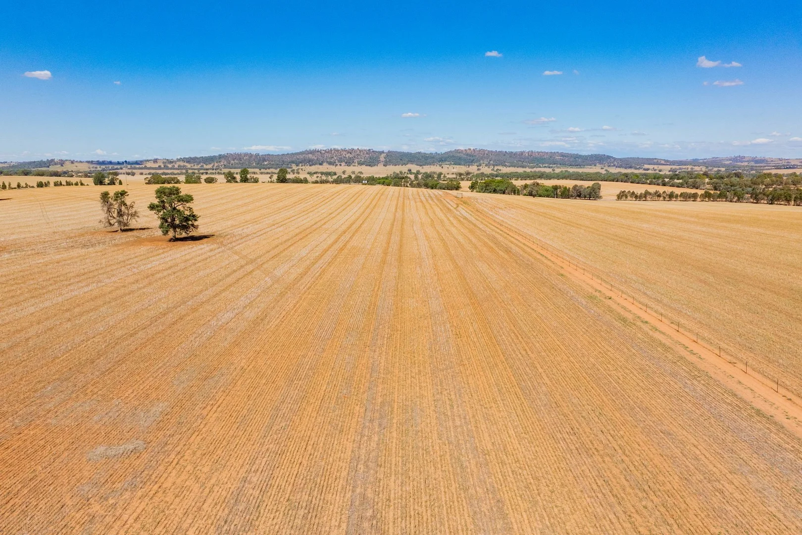 Additional image 6 of 226 Cloughs Road, Wagga Wagga NSW 2650