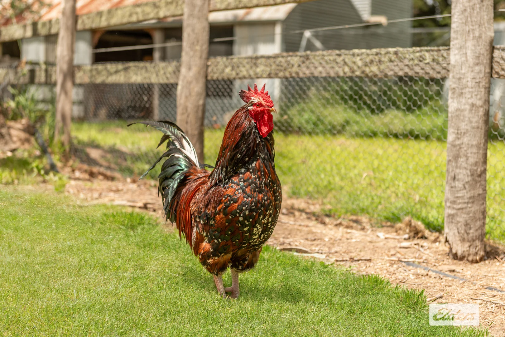 Additional image 22 of 90 Notmans Lane, Lancefield VIC 3435