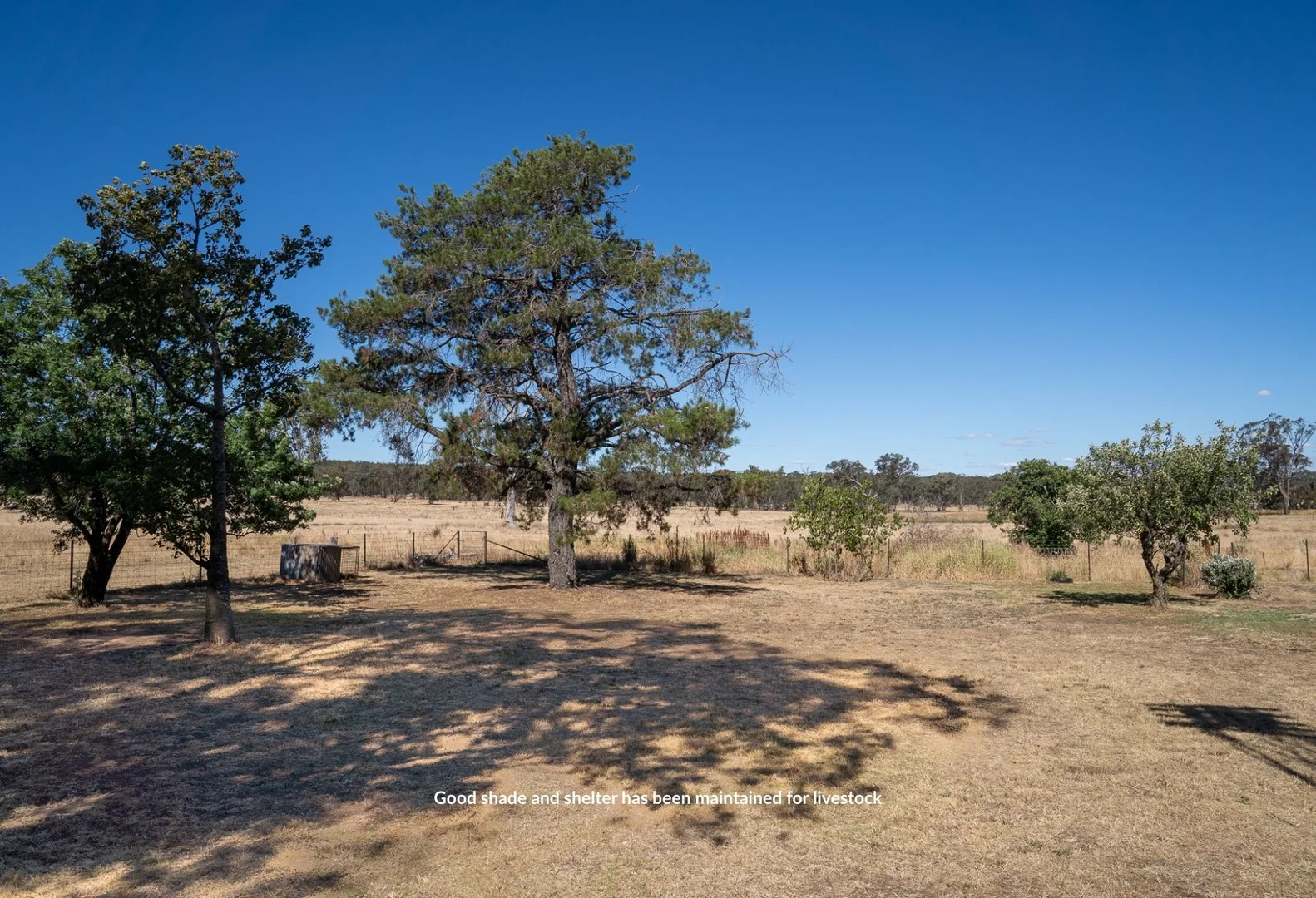 Additional image 14 of 'YLO', 24 Windus Road, Gumble NSW 2865