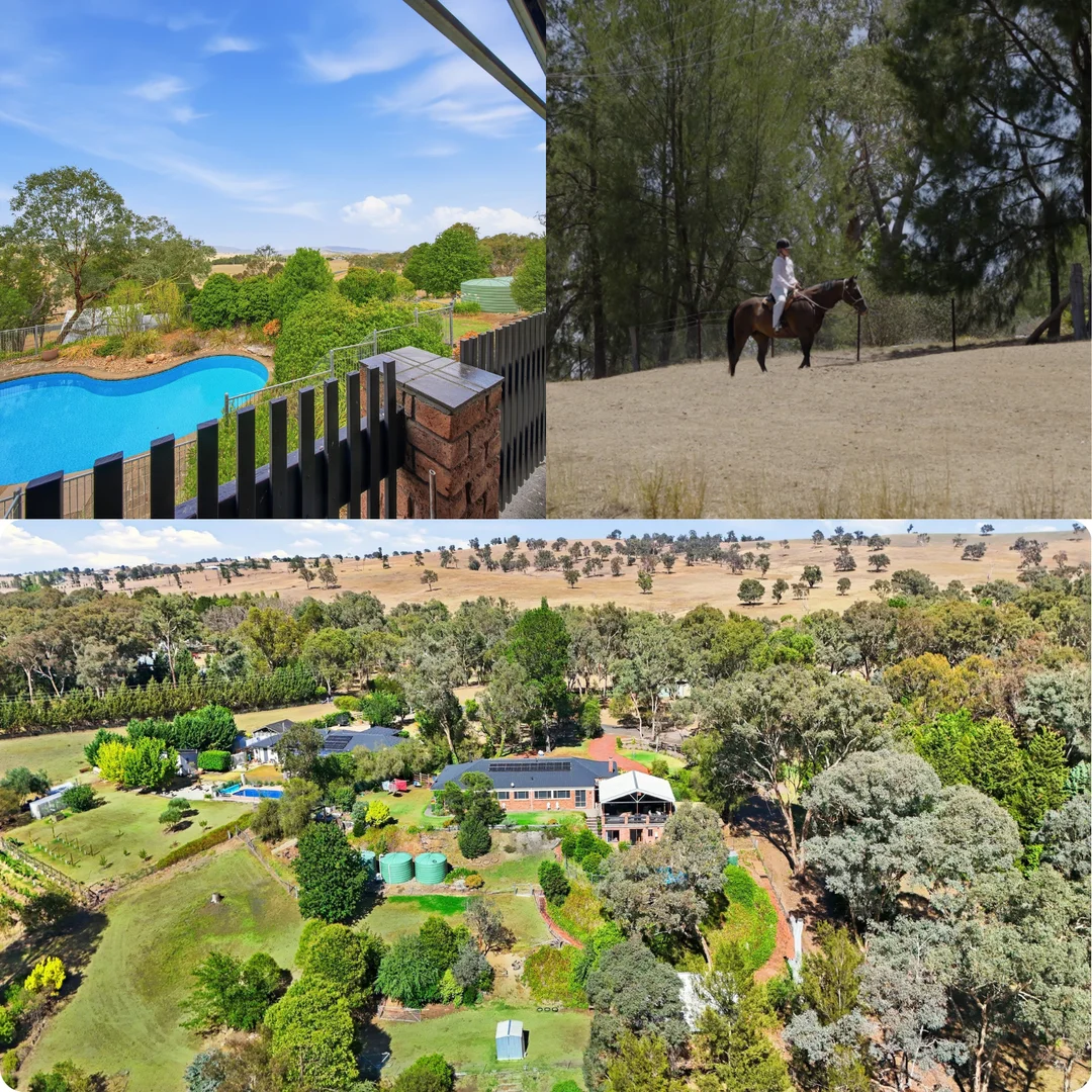 Additional image 6 of 10 Wingeretta Close, Forest Grove NSW 2795