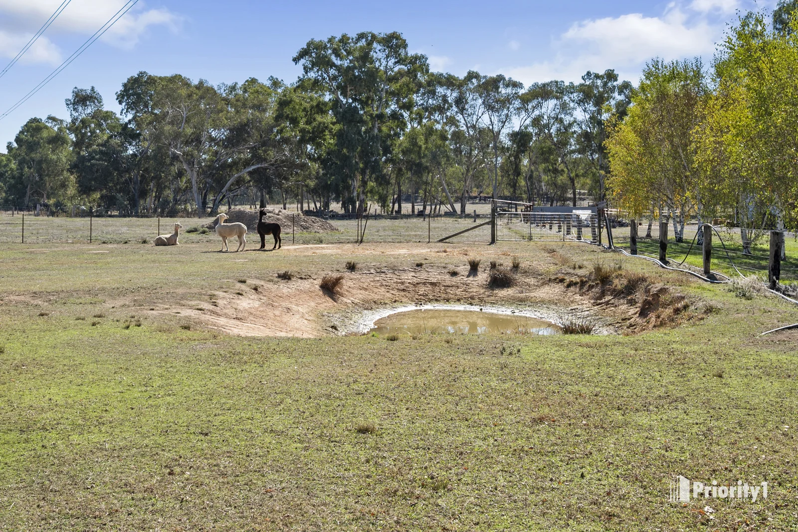 Additional image 21 of 746 Calder Highway, Maiden Gully VIC 3551