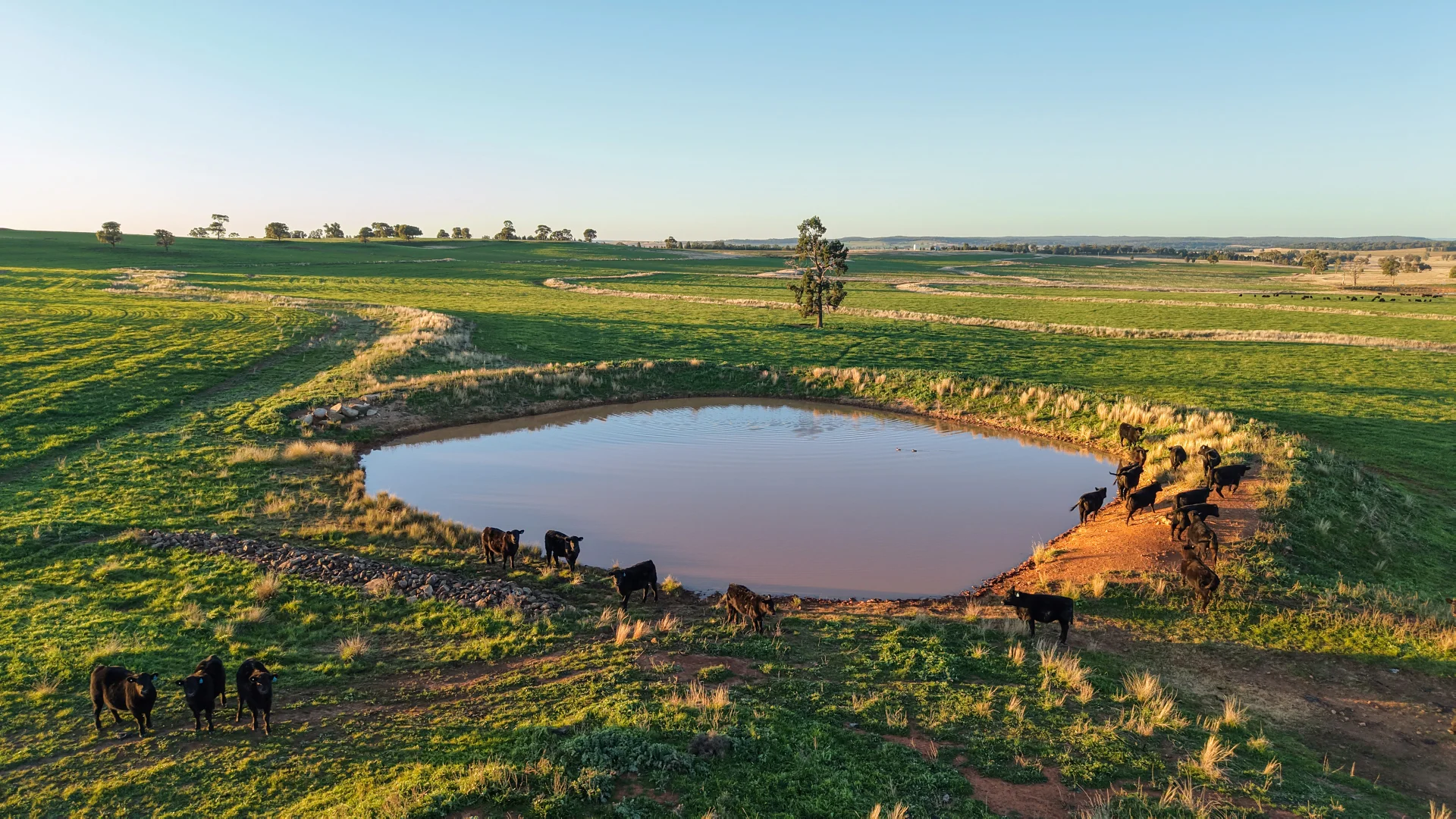 Additional image 13 of 38 Tallawonga Road, Elong Elong NSW 2831