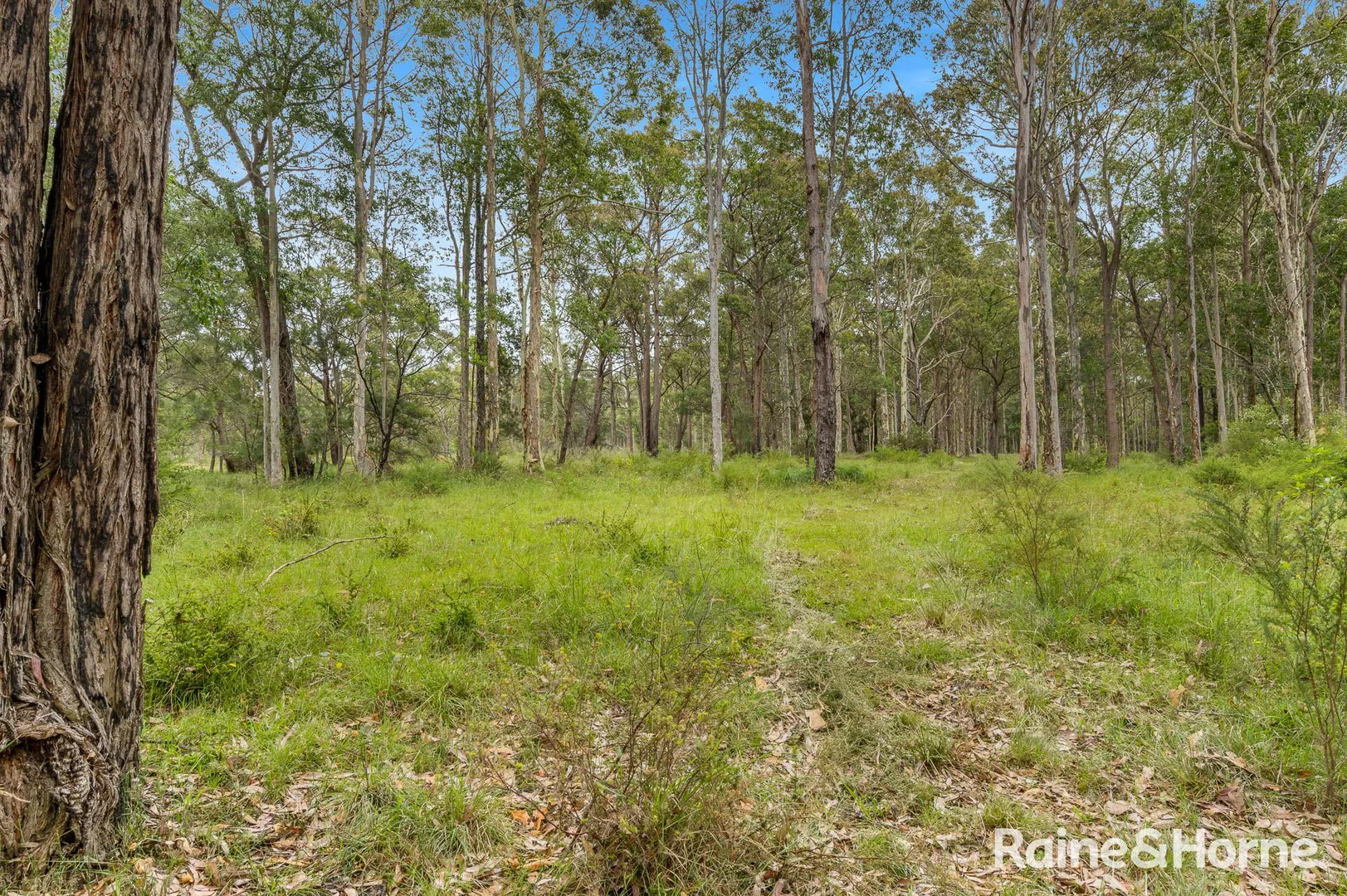 Additional image 7 of 49a Woollamia Road, Falls Creek NSW 2540