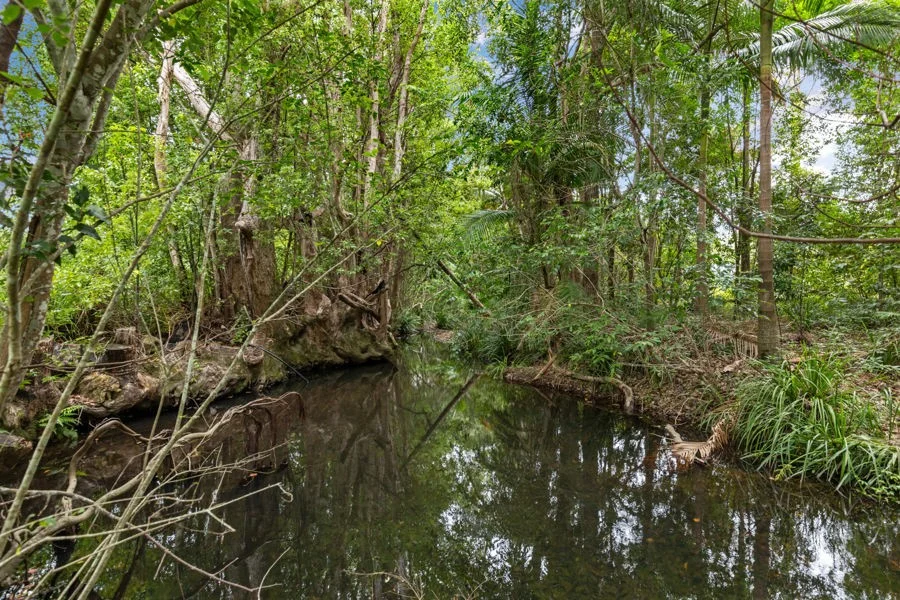 Additional image 28 of 279-279a North Bonville Road, Bonville NSW 2450